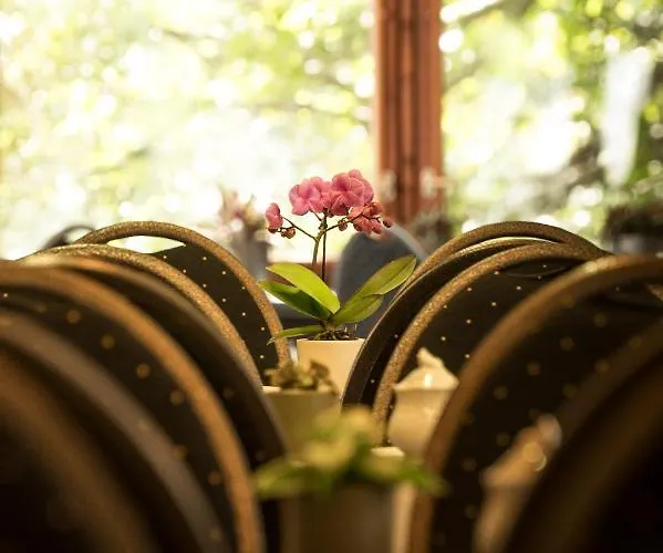 מלון Muehlental *